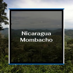 Café du Nicaragua Mombacho