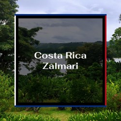 Café du Costa Rica "Zalmari"