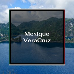 Café du Mexique Veracruz